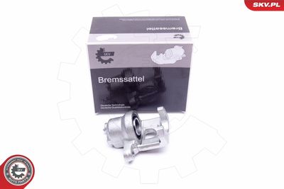 Brake Caliper 45SKV613