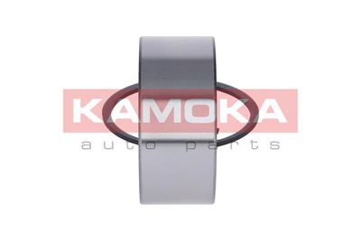 Wheel Bearing Kit 5600076