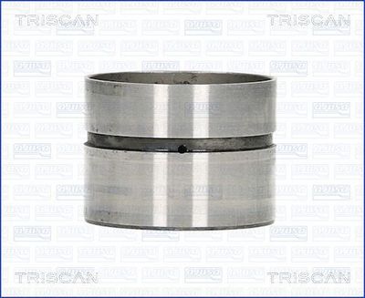 TRISCAN 80-29010 Гідрокомпенсатори для SKODA (Шкода)