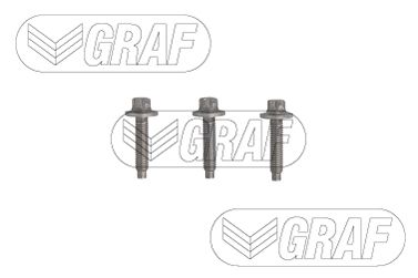 POMPă DE APă RăCIRE MOTOR GRAF PA1369 1