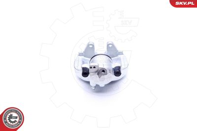 Brake Caliper 45SKV312