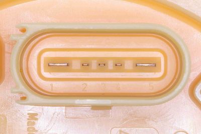 SISTEM ALIMENTARE CU COMBUSTIBIL VEMO V10090833 1