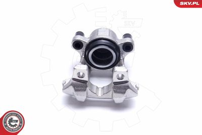 Brake Caliper 55SKV441