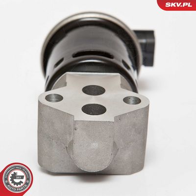 AGR - Ventil ESEN SKV 14SKV053
