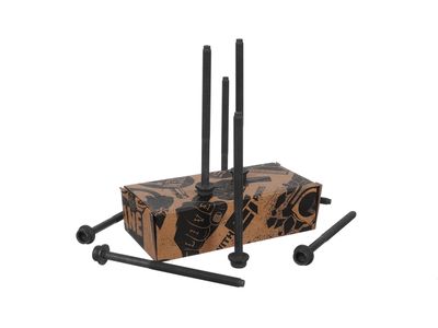 SET SURUB CHIULASA ET ENGINETEAM BS0079 16