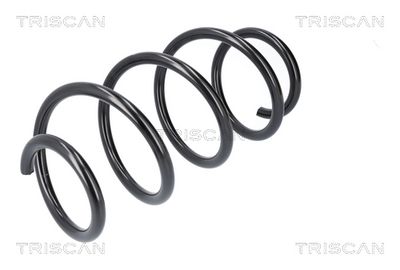 ARC SPIRAL TRISCAN 875029583 1