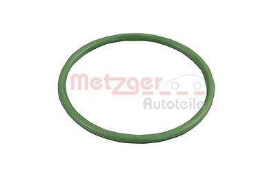 Уплотнительное кольцо, трубка нагнетаемого воздуха METZGER 2400751 для FORD FUSION