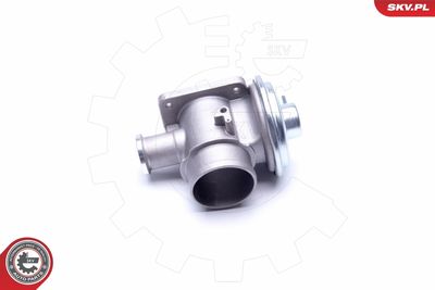 EGR Valve 14SKV179