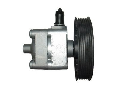 HYDRAULIKPUMPE LENKUNG SPIDAN 54451 2