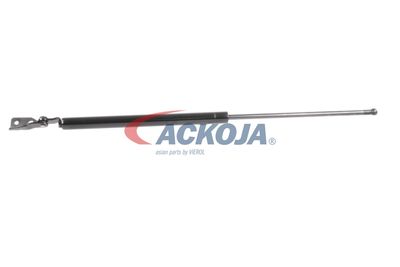 AMORTIZOR PORTBAGAJ ACKOJA A320092 60
