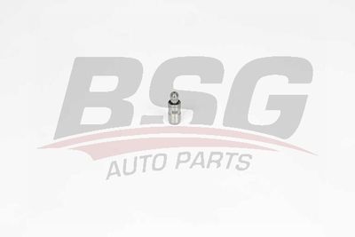 BSG BSG 15-122-027 Гидрокомпенсаторы  для PEUGEOT 4007 (Пежо 4007)