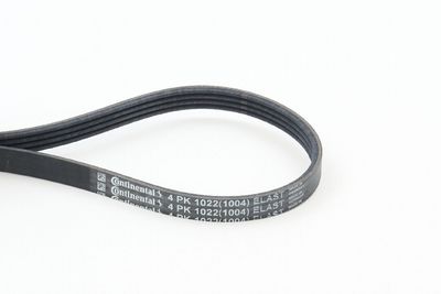CONTINENTAL CTAM Keilrippenriemen