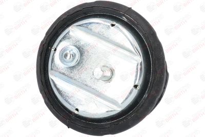 SUPORT MOTOR BIRTH 50123 4