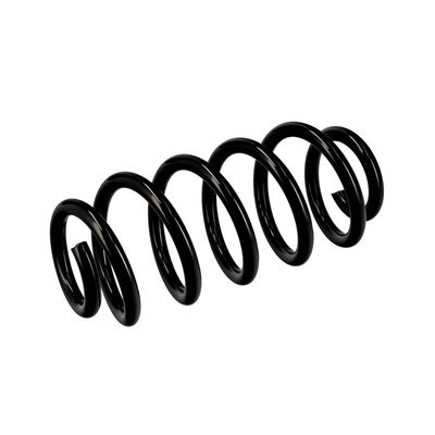 ARC SPIRAL EIBACH R10137 17