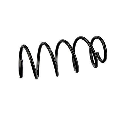 ARC SPIRAL EIBACH R10344 6