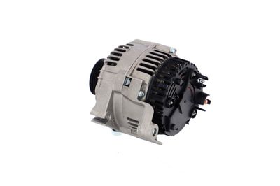 GENERATOR / ALTERNATOR REMANTE 011003000241R 19