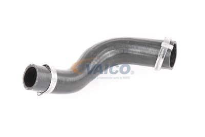 LADELUFTSCHLAUCH VAICO V251024 55