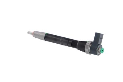 INJECTOR REMANTE 002003000141R 17