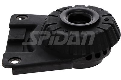 FEDERBEINSTüTZLAGER