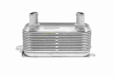 RADIATOR RACIRE ULEI CUTIE DE VITEZE AUTOMATA VEMO V95600009 1