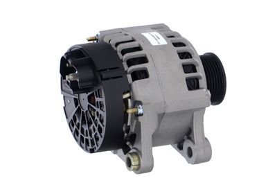 GENERATOR / ALTERNATOR REMANTE 011003000013R 39