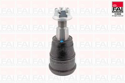 Шарнири FAI AutoParts SS11303