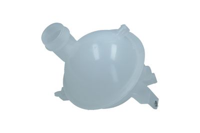 VAS DE EXPANSIUNE RACIRE