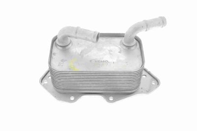 RADIATOR ULEI ULEI MOTOR VEMO V15606019 7