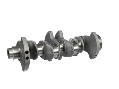 ARBORE COTIT ET ENGINETEAM HK0219 16