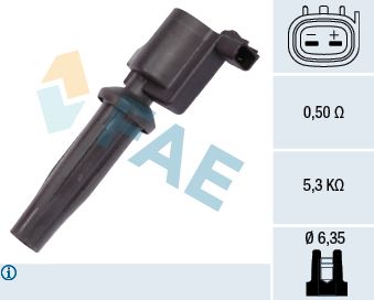 Ignition Coil 80231
