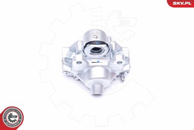 Brake Caliper 45SKV494