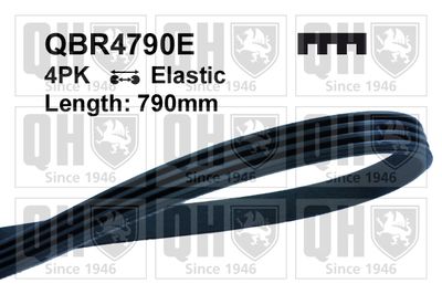 QUINTON HAZELL QBR4790E Ремень генератора 