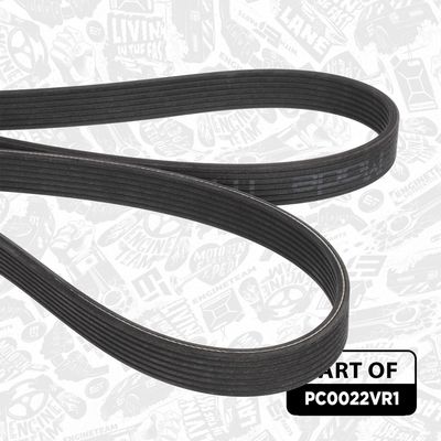 SET FULIE ARBORE COTIT ET ENGINETEAM PC0022VR1 7