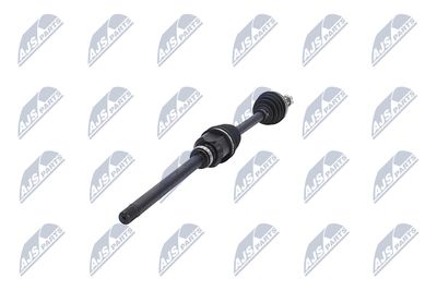 PLANETARA NTY NPWCT081 36