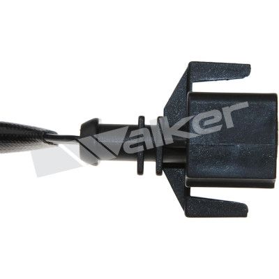 LAMBDASONDE WALKER PRODUCTS 25024719 2