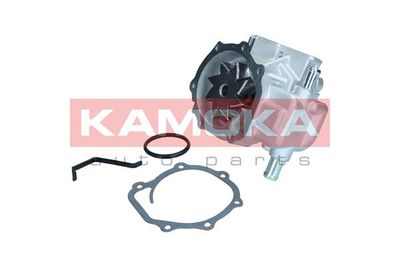 Water Pump, engine cooling T0313