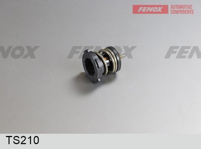 термостат, охладителна течност FENOX TS210