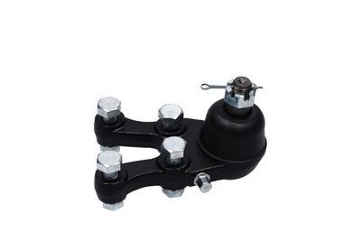 Kavo Parts Šarnyras / girgždukas