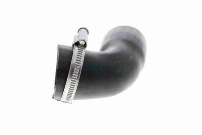 LADELUFTSCHLAUCH VAICO V251020 4