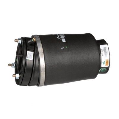 LUFTFEDER FAHRWERK Arnott A2934 51