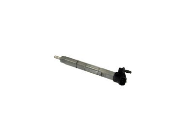 INJECTOR REMANTE 002003001368R 19
