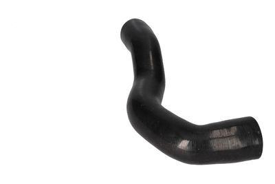 FURTUN EAR SUPRAALIMENTARE BIRTH 55646 9