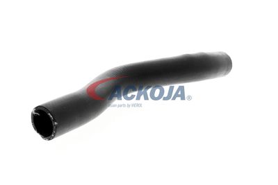FURTUN RADIATOR ACKOJA A261604 29