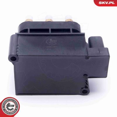 SUPAPA SISTEM SUPRAALIMENTARE ESEN SKV 93SKV801 2