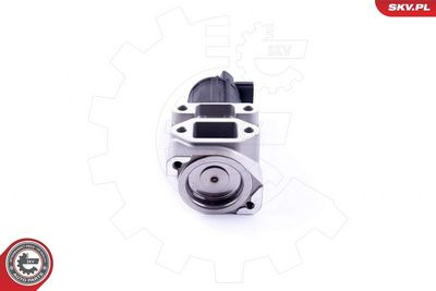 SUPAPA EGR ESEN SKV 14SKV236 2