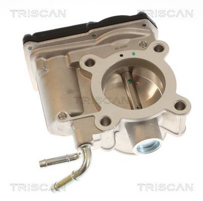 CARCASA CLAPETA TRISCAN 882013015 2