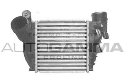 AUTOGAMMA 103209 Интеркулер 