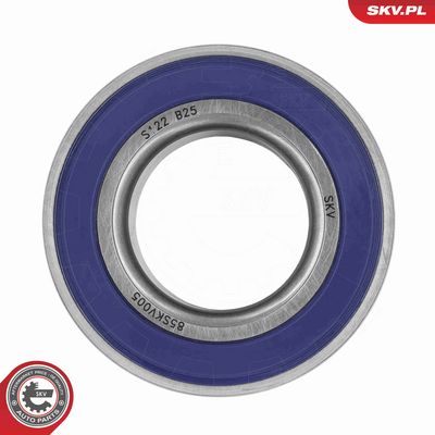 SET RULMENT ROATA ESEN SKV 85SKV005 2