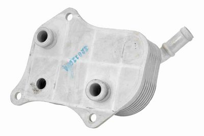 ÖLKüHLER MOTORöL VEMO V15606071 4