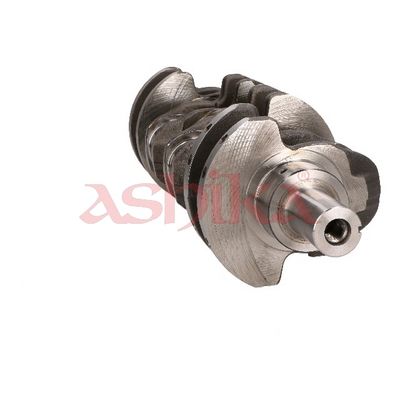 ARBORE COTIT ASHIKA 18KI001 2